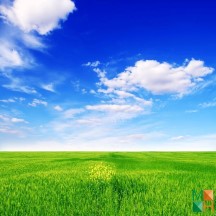 Tranh dán tường Hàn Quốc 3d khổ lớn tại Hà Nội NA - 292